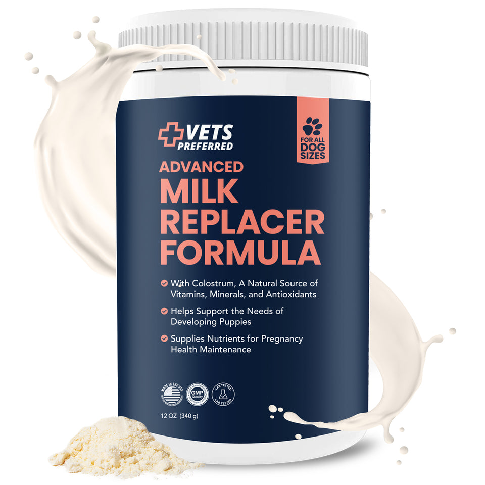 Main3_ProductwithPowderandMilk