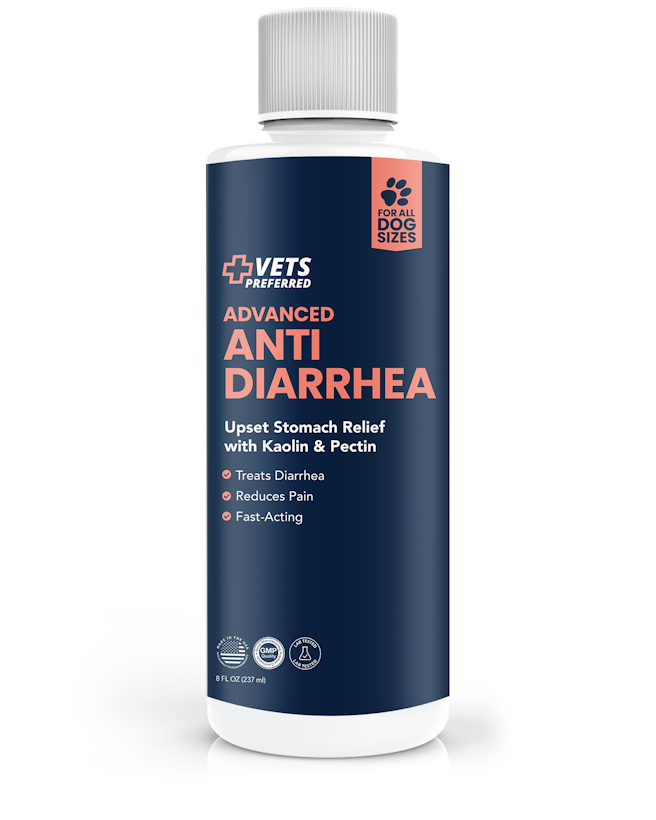 Stomach relief for sales dogs