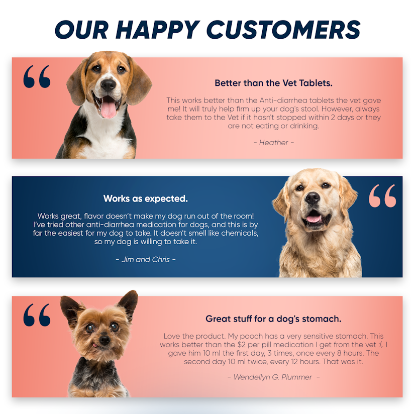 Anti diarrhea sales medications for dogs